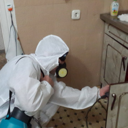 Дезинфекция от муравьев в квартире Саларьево метро Москвы
