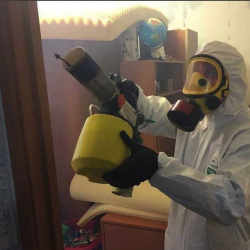Уничтожение клопов в квартире. Саларьево